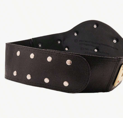 Колан WWE Championship – златен шампионски пояс